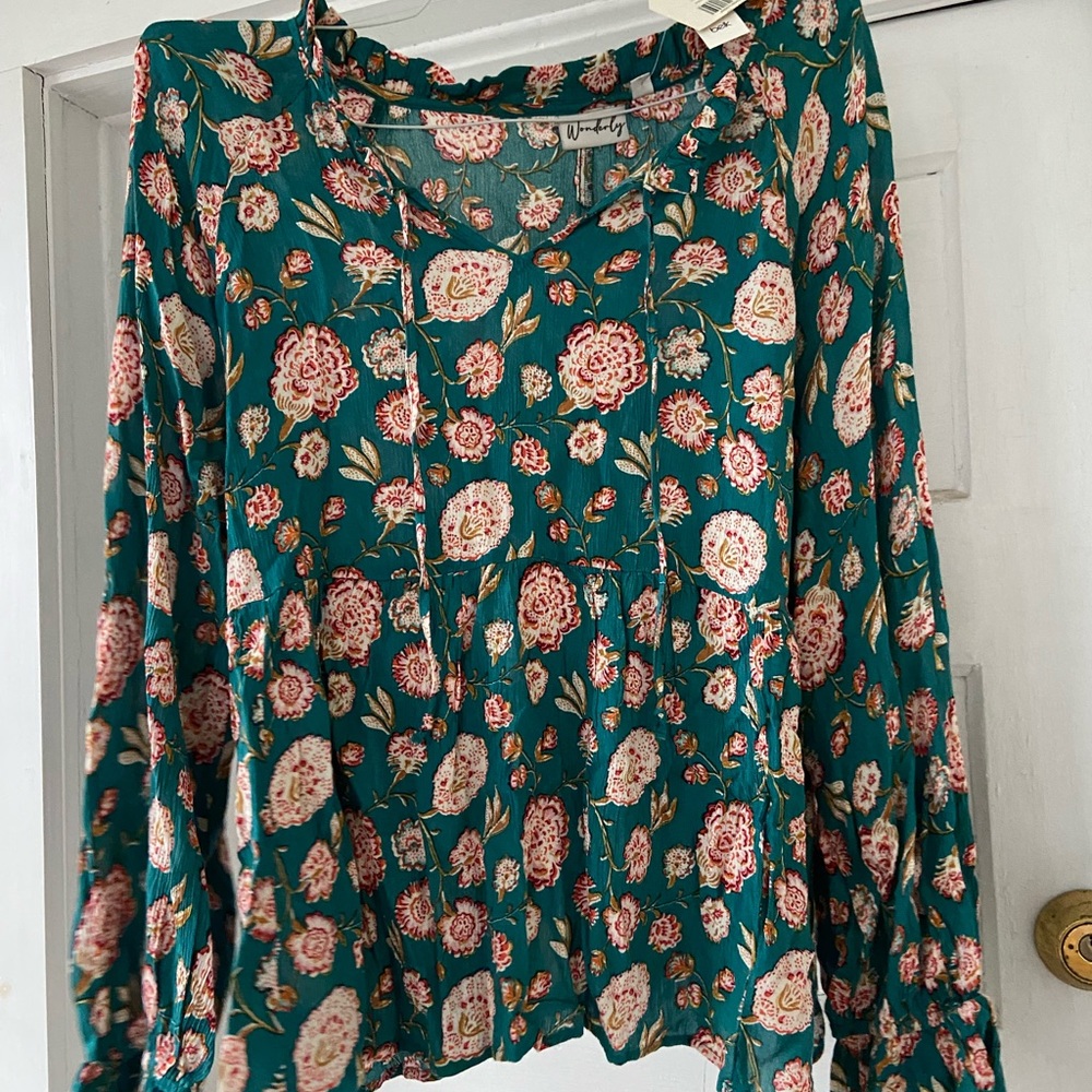 Wonderly teal blouse